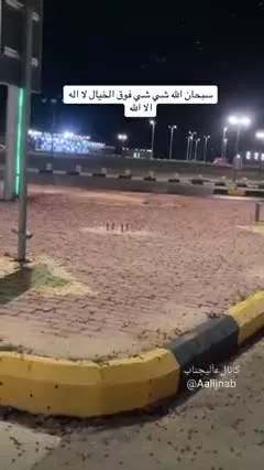حمله سوسک‌ها به عربستان پس از بارندگی شدید