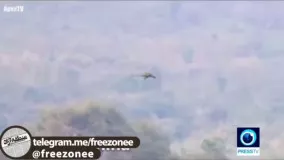 رویت اژدهایی در حال پرواز در کوه های چین