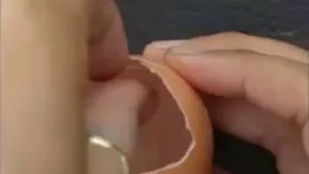 گلدانی مینیاتوری در پوسته تخم مرغ درست کنید
