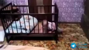 فرار هوشمندانه کودک از تخت 