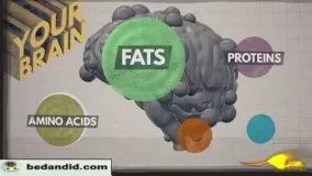 تا به حال فکر کرده اید غذایی که می‌خوریم چه تاثیری بر مغز ما دارد؟برای رسیدن به پاسخ این سوال ویدیو را ببینید.