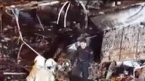 سگ های زنده یاب یک آتش نشان پلاسکو را پیدا کردند