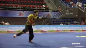 China wushu championship DaoShu 2016