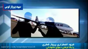 فرود اضطراری هواپیمای قطری به خاطر دعوای زوج ایرانی!!