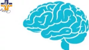 دانستنی ها - قسمت اول - مغز چگونه کار می کند؟