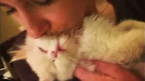 فیلمی که هانیه توسلی پس از مرگ گربه اش لایو پخش کرد
