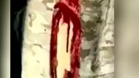 درخت ساج   وقتی زخمیش میکنی ازش مایعی شبیه خون میچکه  این درخت در افریقاست!  ????