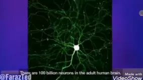 نورونهایی که تمدن را شکل دادند.حس همدردی ویلایانور راماچند