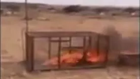  آتش زدن وحشیانه روباه درقفس به دست عرب ها