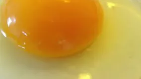 خواص جالب تخم مرغ