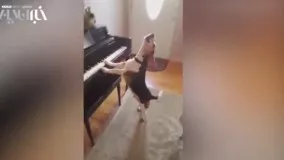 خوانندگی و نوازندگی یک سگ