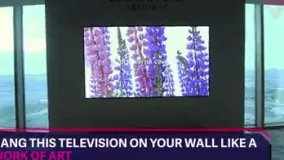 تلویزیون OLED دیواری 4K ال جی