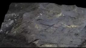 دیواره نگاری هایی کشف شده در جبل الطارق