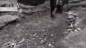 چیزی شبیه معجزه؛جوشش ناگهانی چشمه آب در منطقه کوشا احمدی