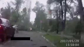 سقوط درختان بر روی خودروها به خاطر طوفان شدید