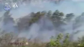  آتش سوزی در جنگل های حسن آباد نوشهر
