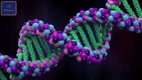 اولین دستکاری ژنتیکی انسان در آمریکا
