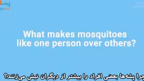 چرا پشه‌ها بعضی افراد را بیشتر از دیگران نیش می‌زنند؟