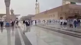 مسجد النبی زیر بارش رحمت الهی دقایقی پیش 