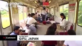 در قطار ژاپنی کافه گربه راه‌اندازی شد