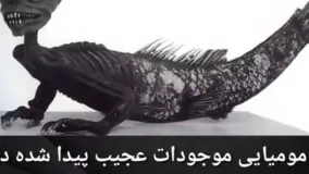 مومیایی موجودات عجیب پیدا شده در اهرام مصر