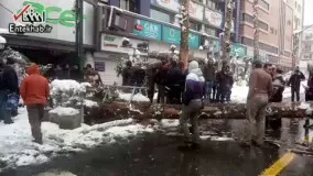 فیلم/ سقوط یک درخت در خیابان ولیعصر در اثر بارش برف
