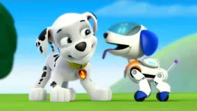 کارتون سگ های نگهبان قسمت 54 - انیمیشن سگهای نگهبان جم جونیور