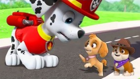 کارتون سگ های نگهبان قسمت 1 دانلود انیمیشن سگ های نگهبان 