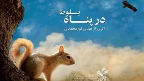 دانلود فیلم مستند زیبای ایرانی در پناه بلوط از شبکه جهانی جام جم