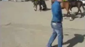 فیلم/ حضور پلیس اسب سوار برای تامین امنیت دربی86
