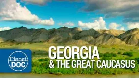 راهنمای سفر/ همه چیز درباره گرجستان