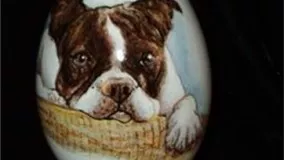 نقاشی سگ روی تخم مرغ-طرح سگ روی تخم مرغ