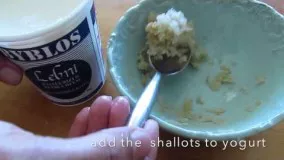 Shallot Yogurt dip | Mast-o-Mosir | ماست موسیر