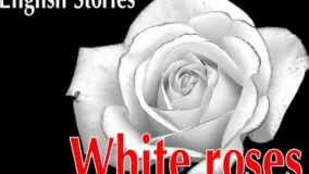 دانلود کتاب صوتی تصویری رز سفید به زبان انگلیسی 
