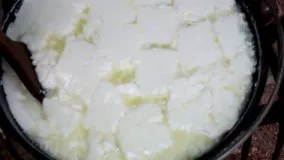 آشپزی آسان-تهیه پنیر موزارلا