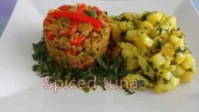 آشپزی ایرانی-  ماهی تن با فلفل دلمه ای