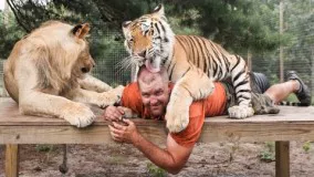 Big Cat Enthusiast Owns Six Tigers And Two Lions