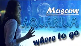 Things to do in Moscow - Aquarium
