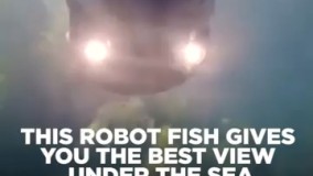 ربات ماهی 