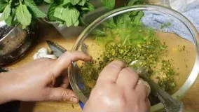 آشپزی ایرانی-ترشی بادمجان شکم پر