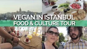 معرفی فرهنگ و غذای استانبول و ترکیه