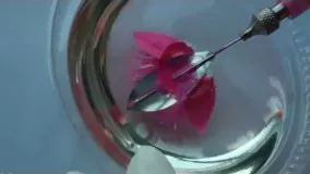تهیه دسر-تهیه ژله تزریقی به شکل رزهای زیبا