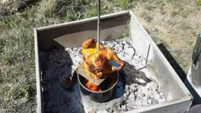 هنر آشپزی-مرغ بریانی 
