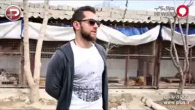 واکنش تند بهرام رادان به ویدیوی منتشر شده از یک سگ آزاری وحشیانه در گرگان
