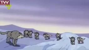 تمام قسمت های کارتون پهلوانان فصل 1و2-گرگها