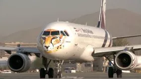 نقش یوزپلنگ در حال انقراض ایرانی بر روی هواپیما، تلاشی برای ارتقاء محیط زیست