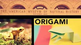اموزش اوریگامی قورباغه-ویدیو های اوریگامی 13