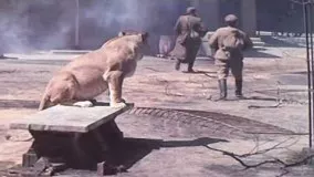 World War 2 Battles- Berlin Zoo
