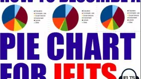 IELTS Academic Task 1 How to describe a Pie Chart