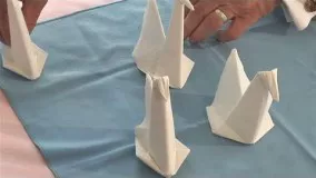 How To Make A Swan Napkin